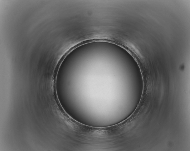 X0000090741268200707271417