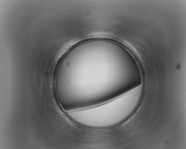 X0000090741277200707271417
