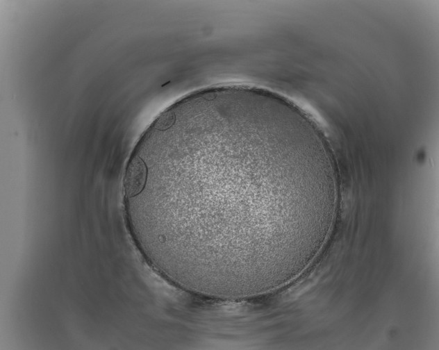 X0000090741279200707271417