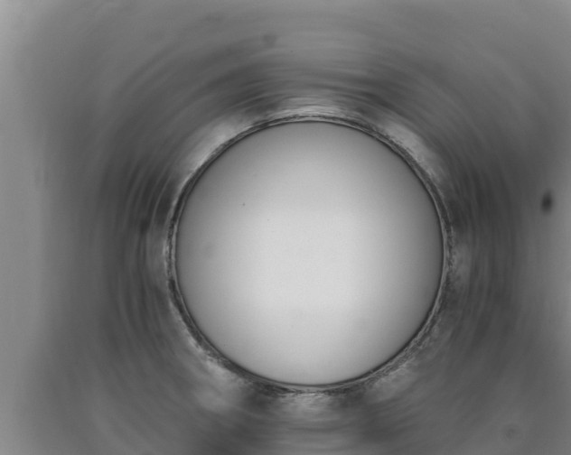 X0000090741282200707271417
