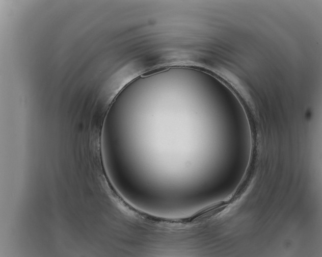 X0000090741289200707271416