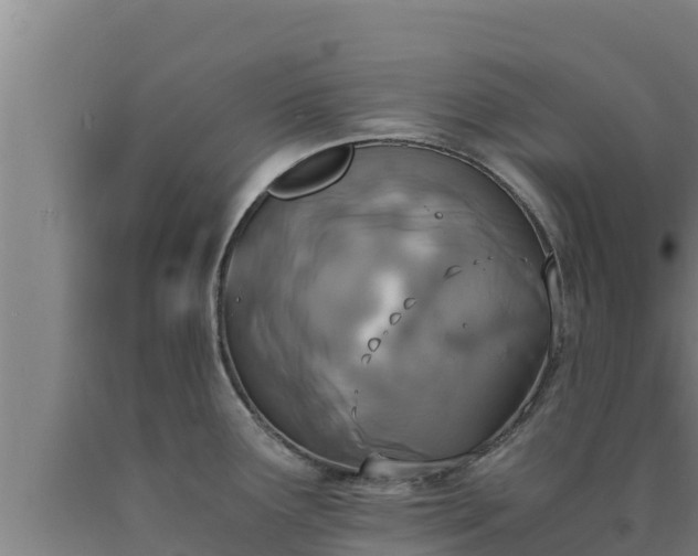 X0000090741291200707271416