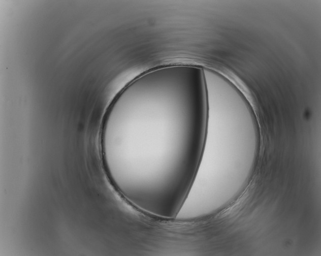 X0000090741293200707271416