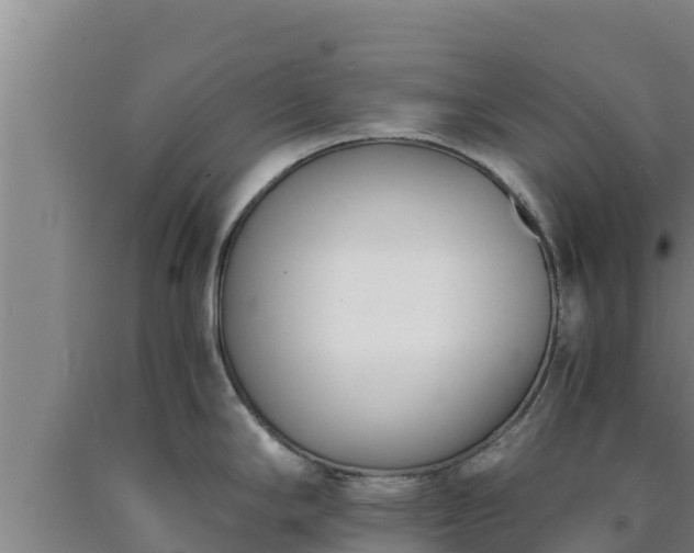 X0000090741294200707271416