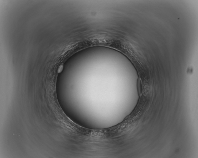 X0000090741297200707271416