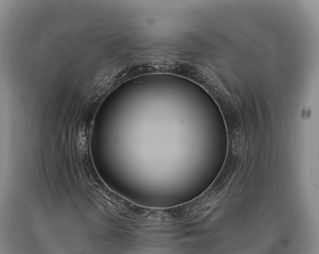 X0000090741298200707271416
