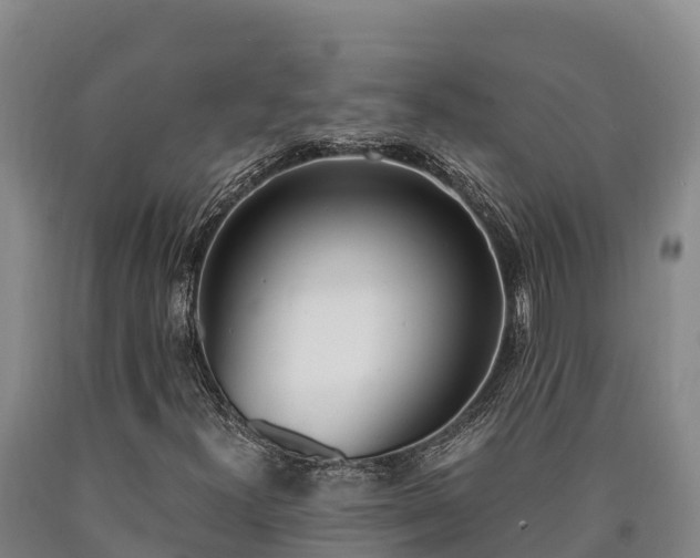 X0000090741300200707271416