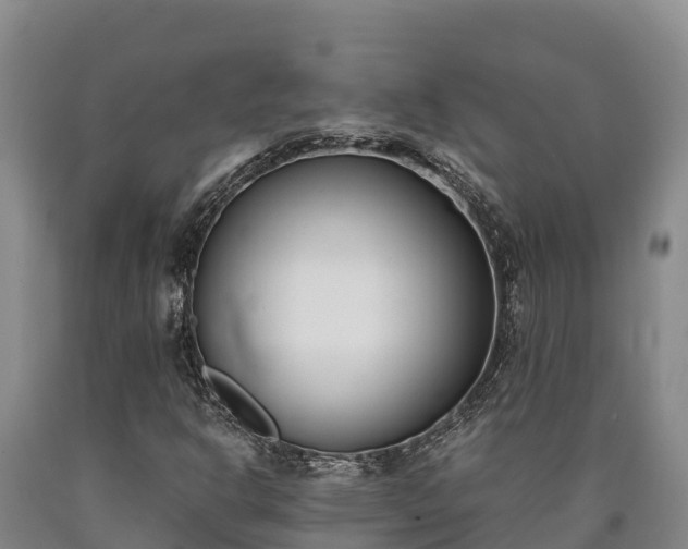 X0000090741302200707271416