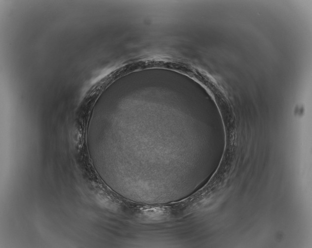 X0000090741303200707271416