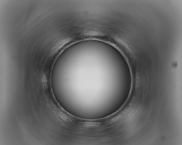 X0000090741305200707271416