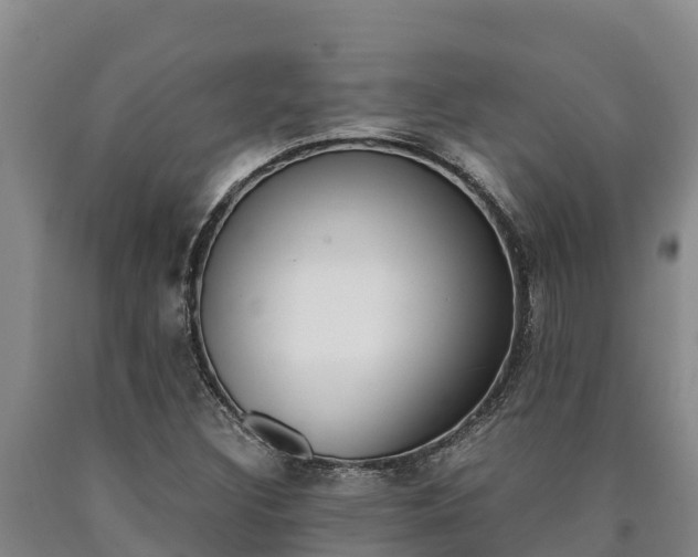 X0000090741308200707271416
