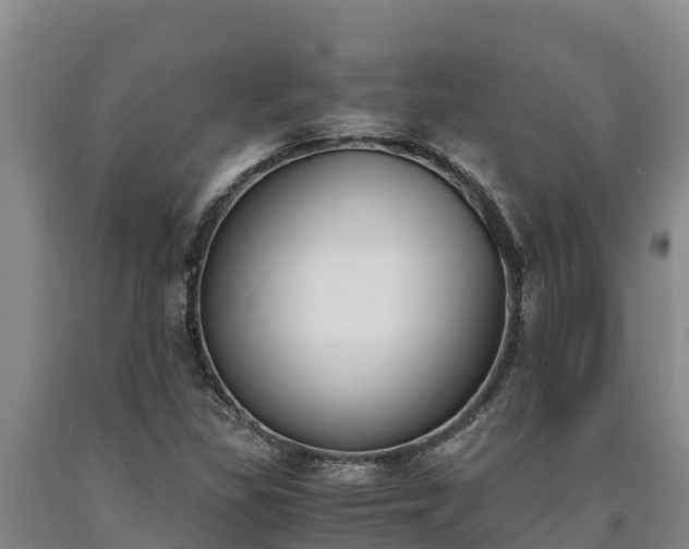 X0000090741309200707271416