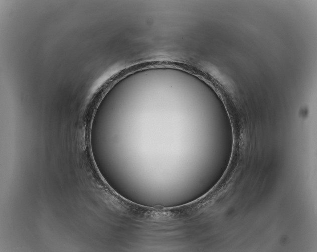 X0000090741310200707271416