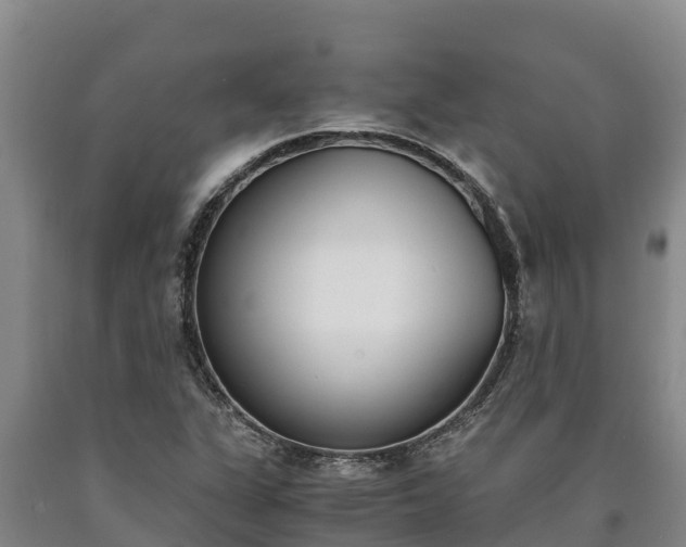 X0000090741311200707271416
