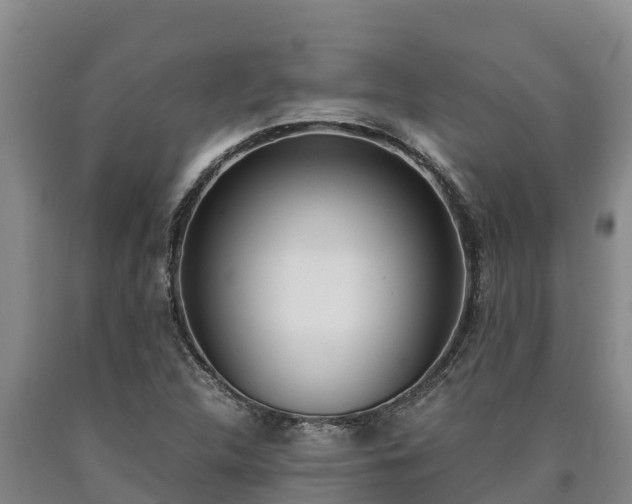 X0000090741312200707271416