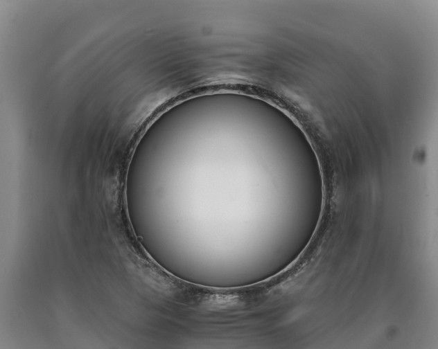 X0000090741313200707271416