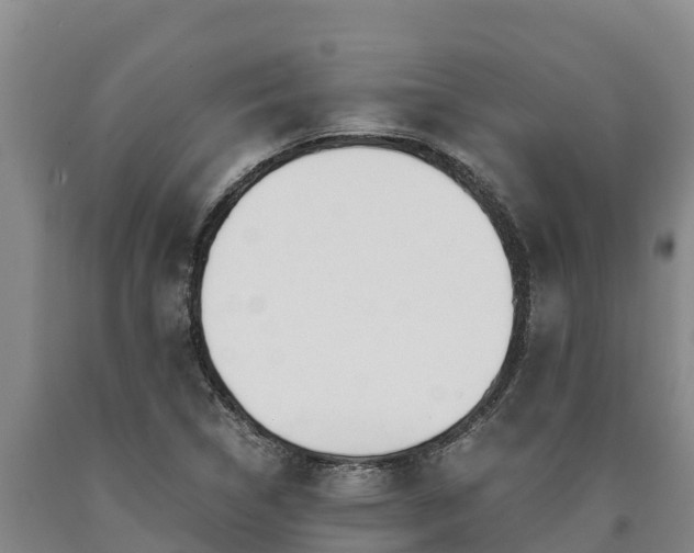 X0000090741314200707271416