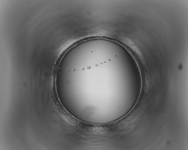 X0000090741316200707271416