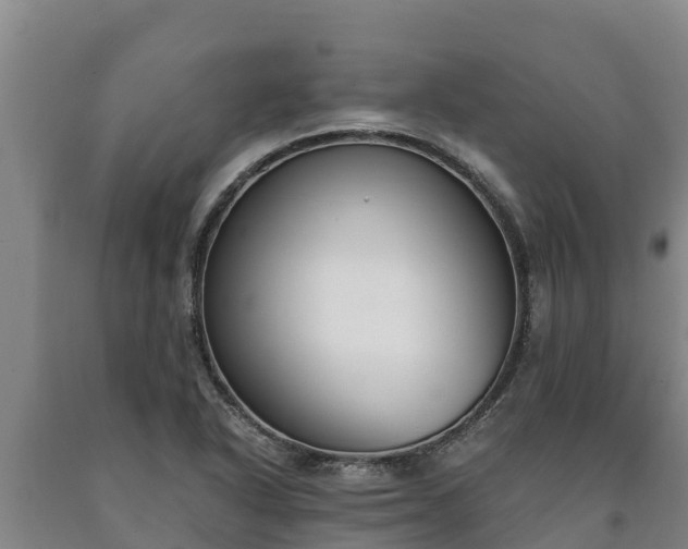 X0000090741318200707271416