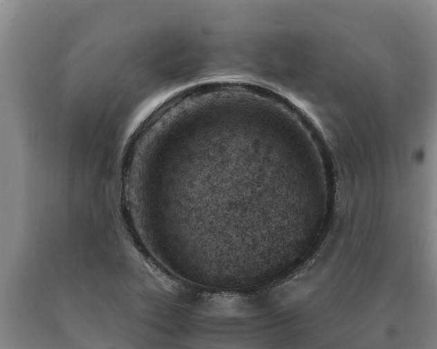 X0000090741319200707271416