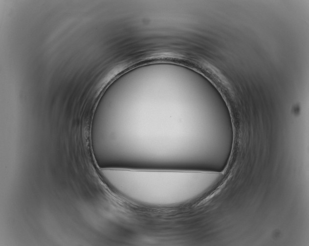 X0000090741321200707271416