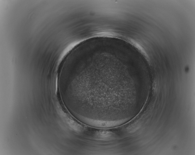 X0000090741323200707271416