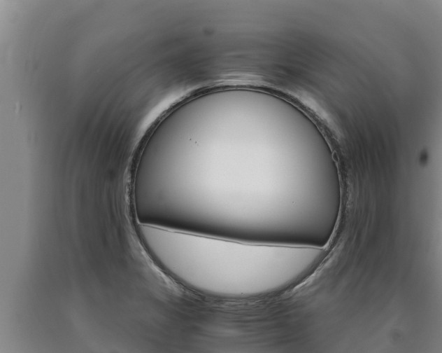X0000090741325200707271416