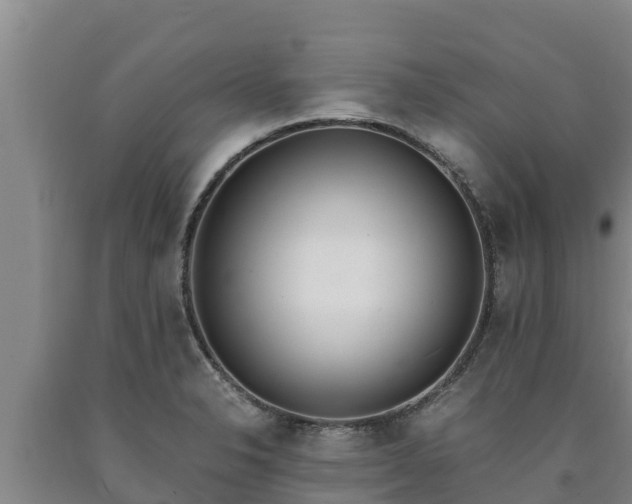 X0000090741326200707271416