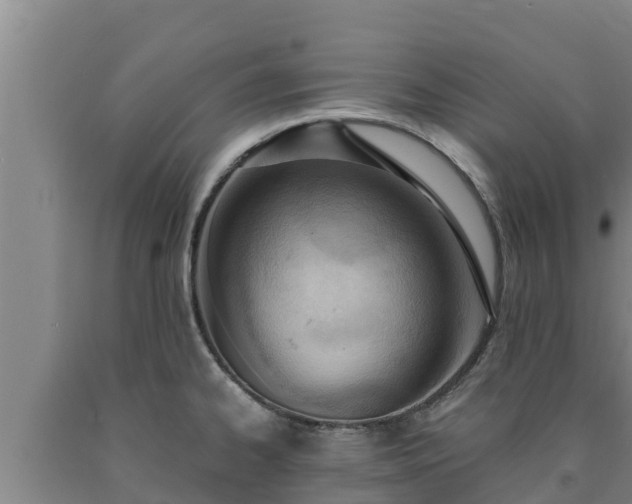 X0000090741334200707271416
