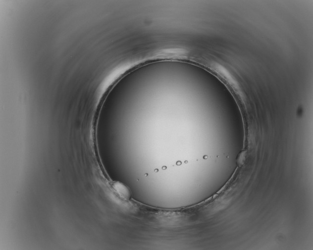 X0000090741336200707271416