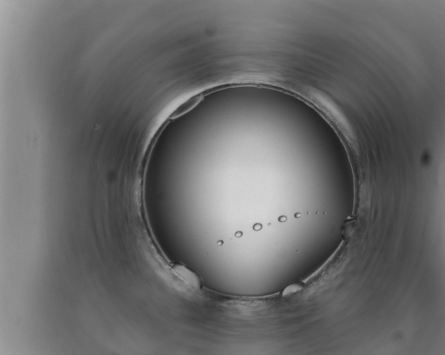 X0000090741340200707271416