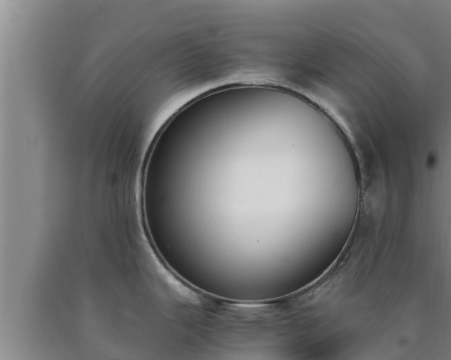 X0000090741343200707271416
