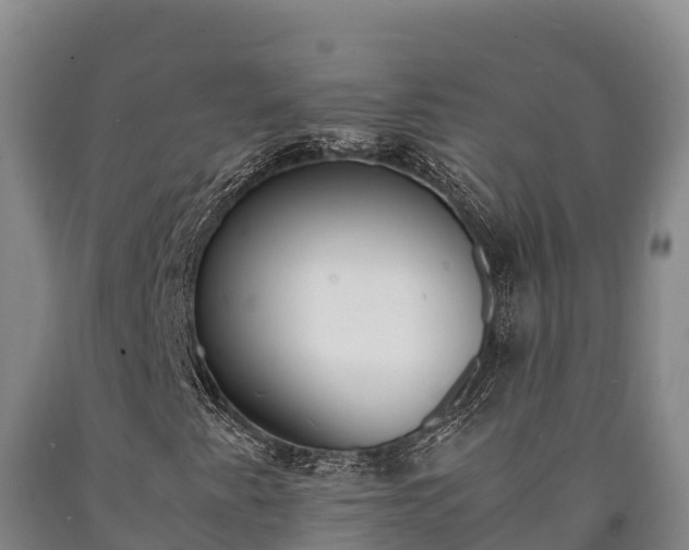 X0000090741345200707271416