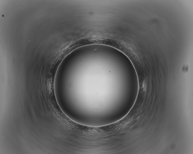X0000090741348200707271416
