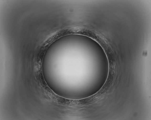 X0000090741349200707271416