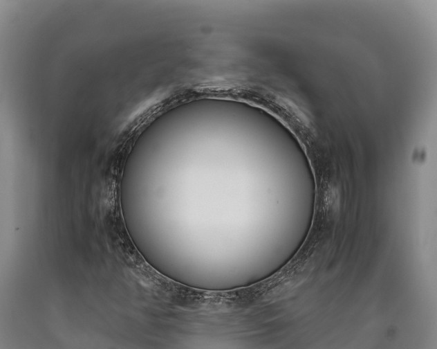 X0000090741350200707271416