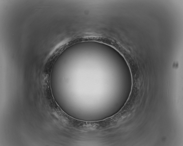 X0000090741351200707271416