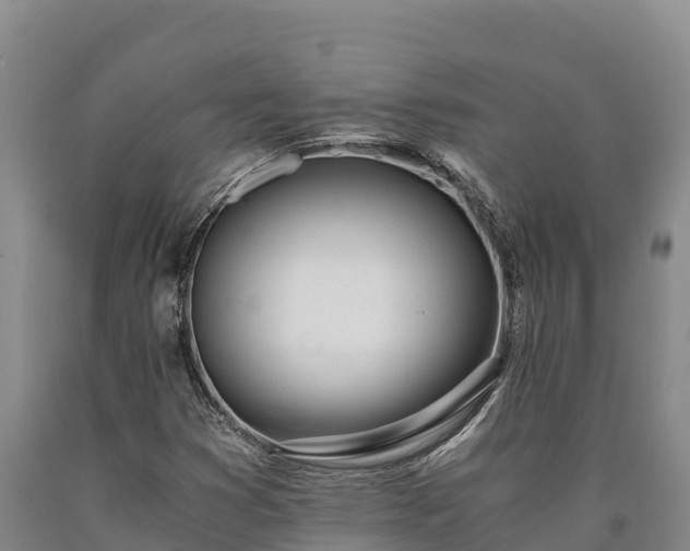 X0000090741353200707271416