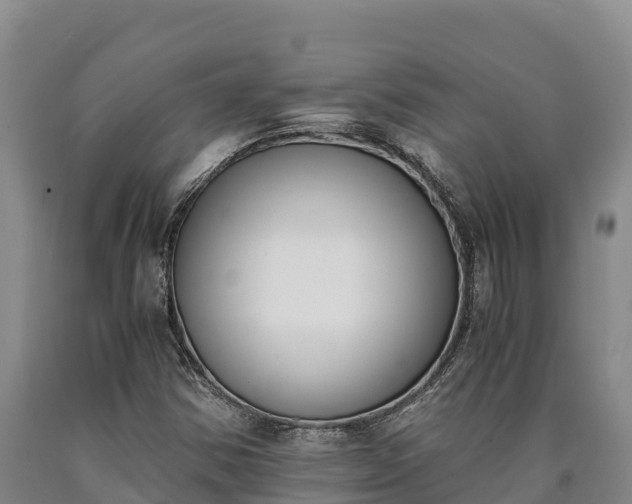 X0000090741354200707271416