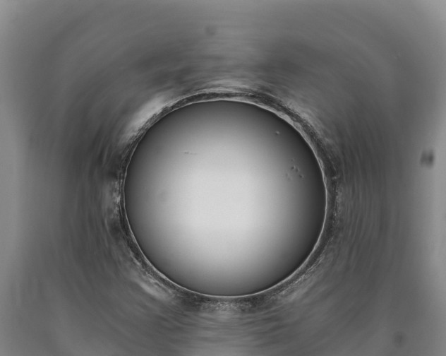 X0000090741355200707271416