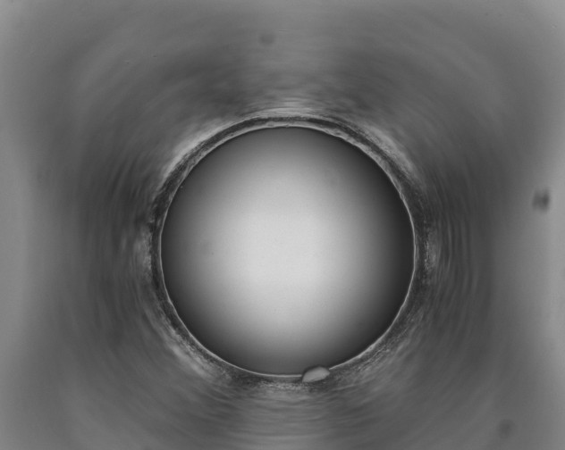 X0000090741356200707271416