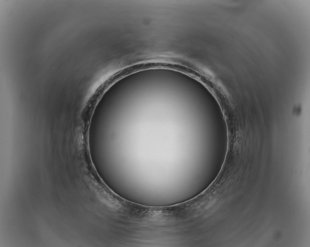 X0000090741360200707271416