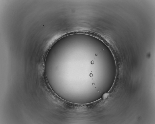 X0000090741363200707271416