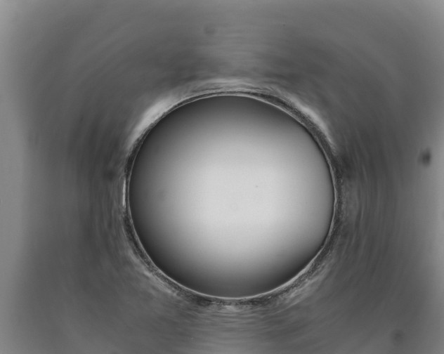 X0000090741365200707271415