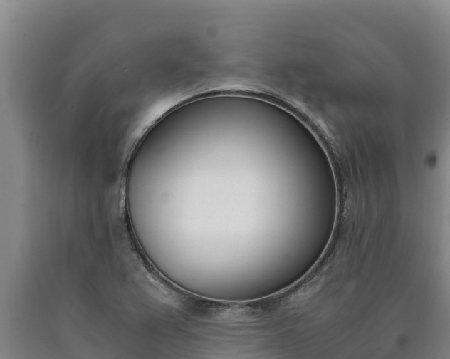 X0000090741367200707271415