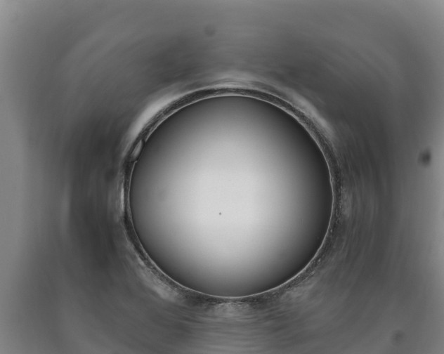 X0000090741368200707271415