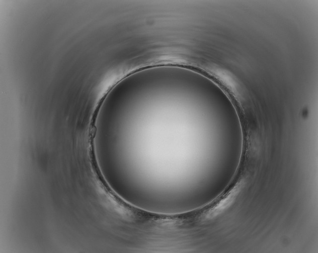 X0000090741373200707271415