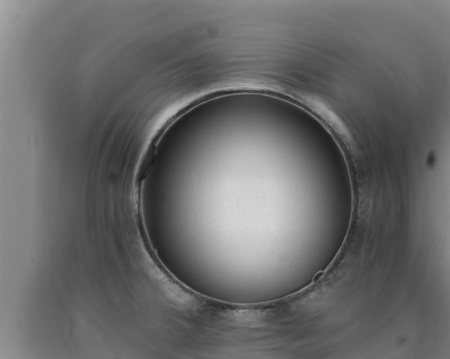 X0000090741380200707271415