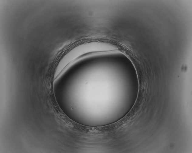 X0000090741398200707271415