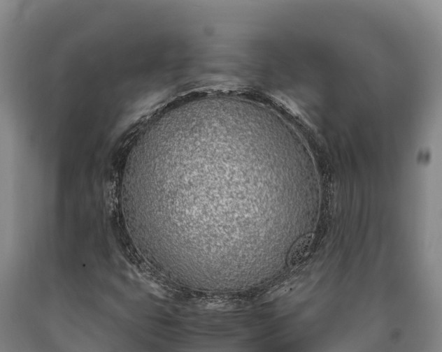 X0000090741399200707271415